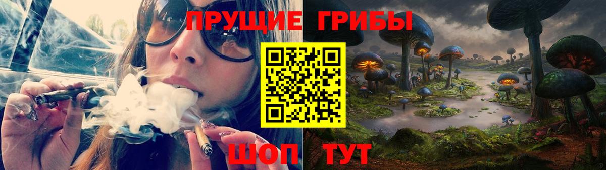 Псилоцибиновые грибы Psilocybine cubensis Кувандык